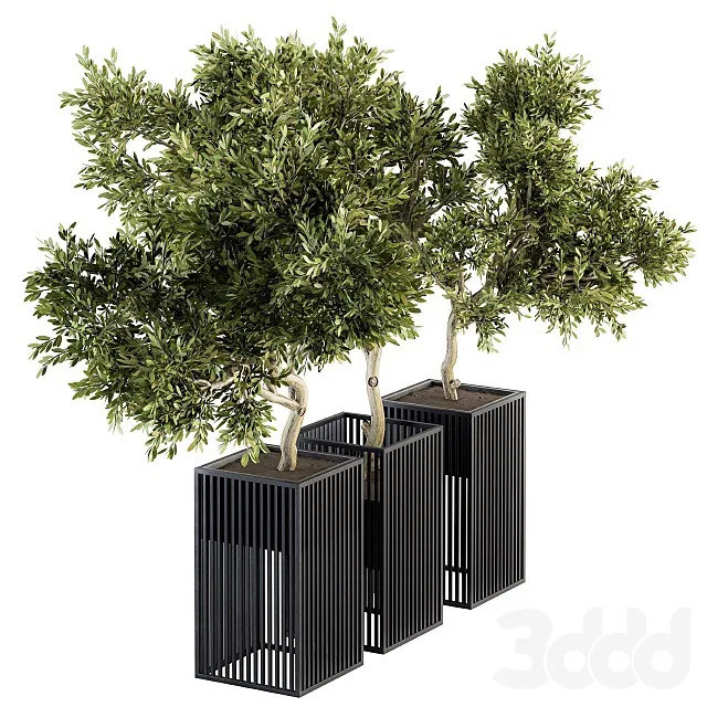 PLANTS – OUTDOOR – 3D MODELS – 3DS MAX – FREE DOWNLOAD – 17200