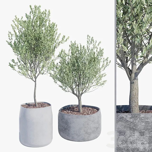 PLANTS – OUTDOOR – 3D MODELS – 3DS MAX – FREE DOWNLOAD – 17201