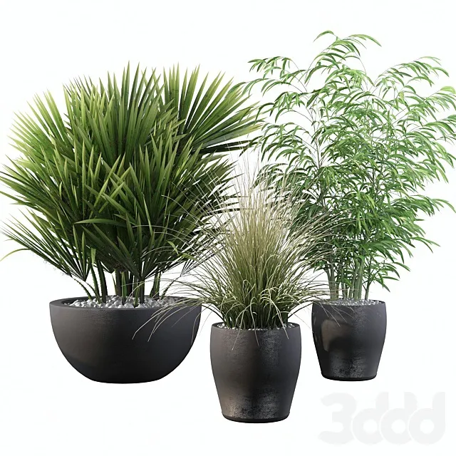 PLANTS – OUTDOOR – 3D MODELS – 3DS MAX – FREE DOWNLOAD – 17204
