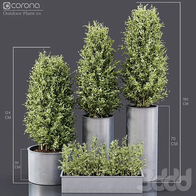 PLANTS – OUTDOOR – 3D MODELS – 3DS MAX – FREE DOWNLOAD – 17207