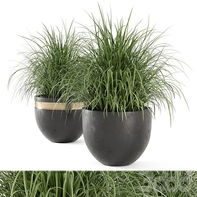 PLANTS – OUTDOOR – 3D MODELS – 3DS MAX – FREE DOWNLOAD – 17231