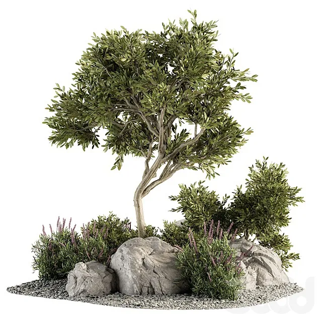 PLANTS – OUTDOOR – 3D MODELS – 3DS MAX – FREE DOWNLOAD – 17232
