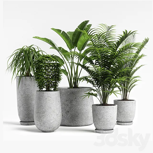 plants set 04 3ds Max