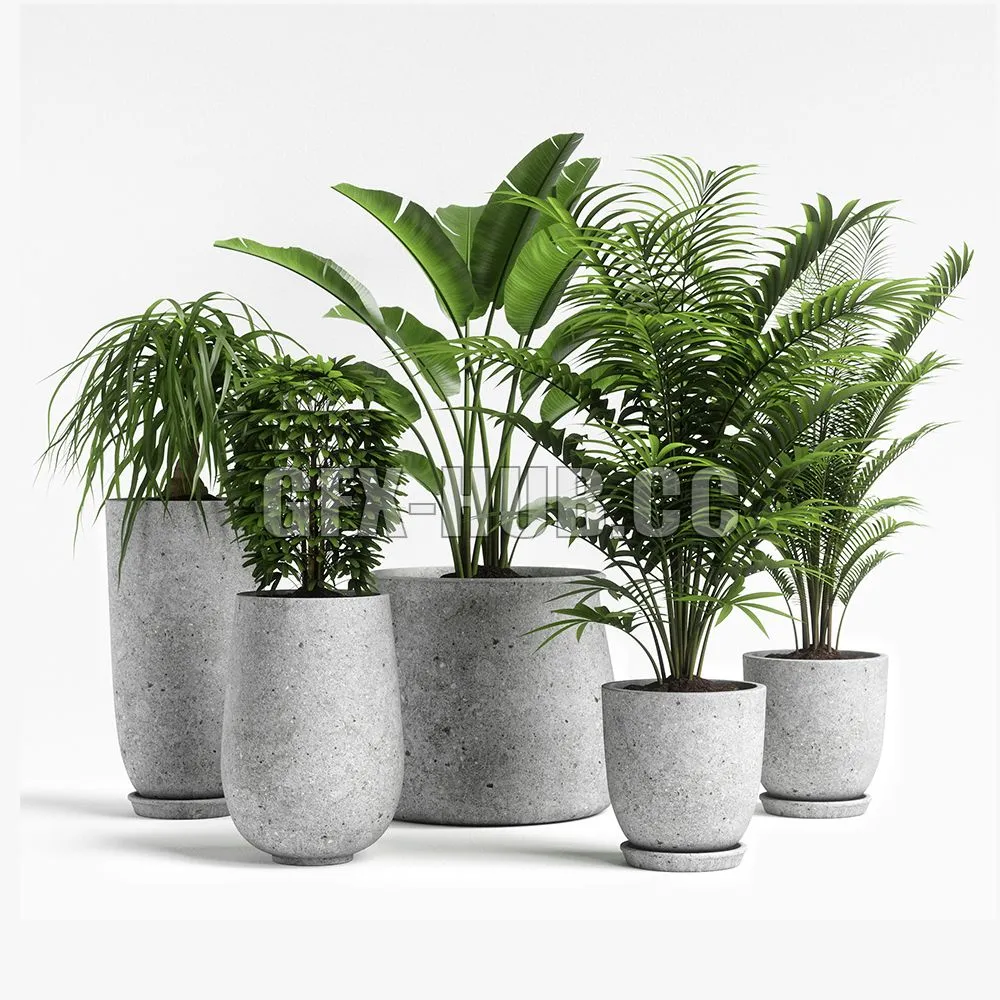 plants set 04 3dsMax Model