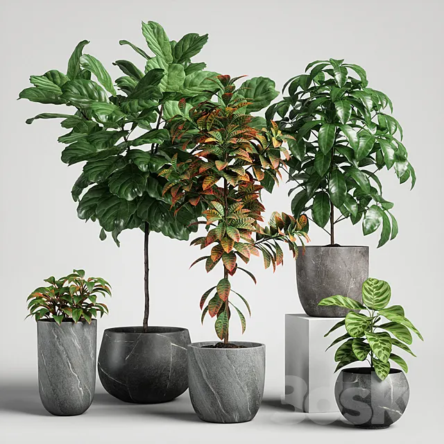 plants set 11 3ds Max