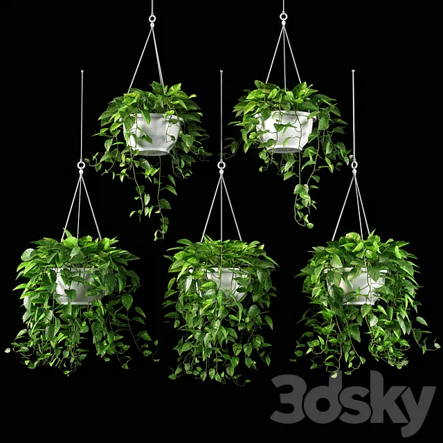 plants set 13 3ds Max