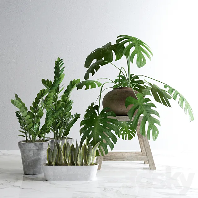 Plants Set 3ds Max