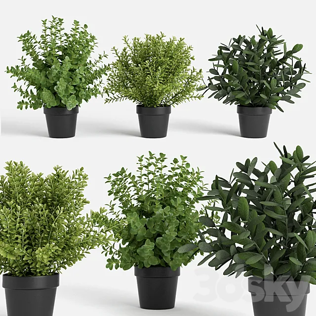 plants set 3ds Max