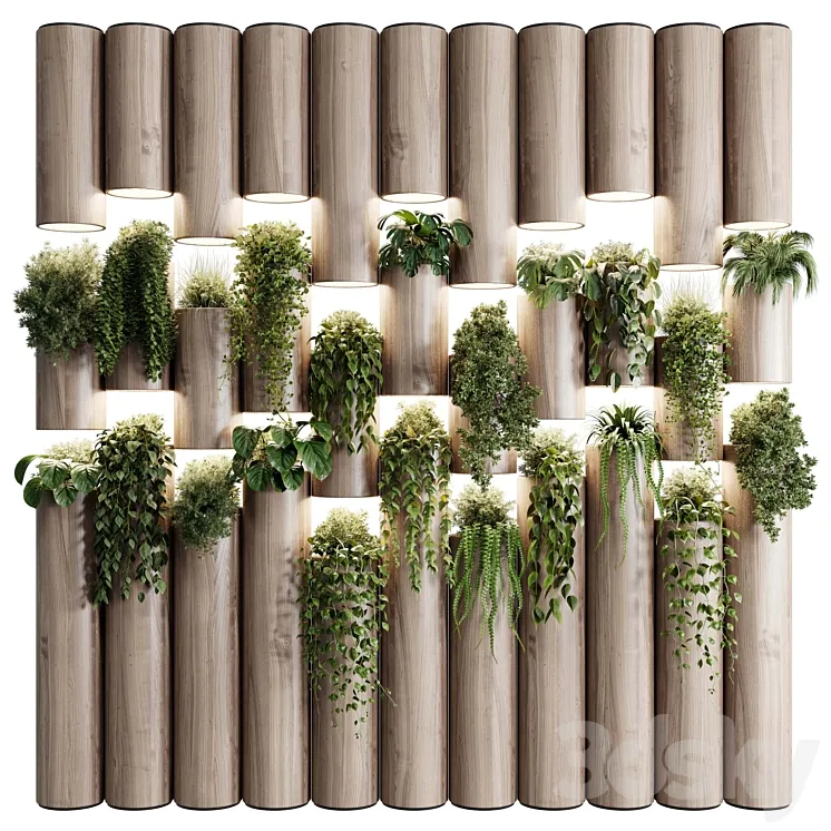plants set partition in wooden frame- Vertical graden wall decor box 30 3DS Max