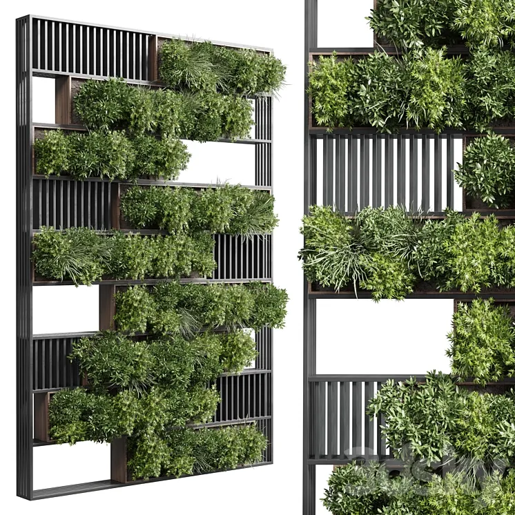 plants set partition in wooden frame – Vertical graden wall decor box 35 3DS Max Model
