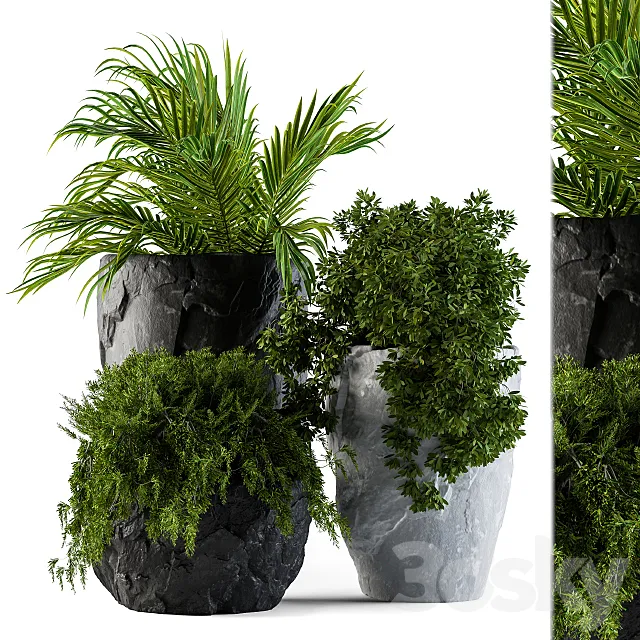 Plants set rock pot 3ds Max