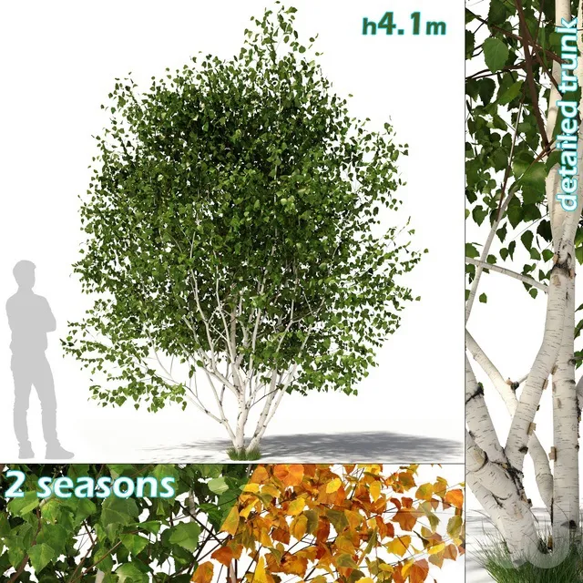 PLANTS – TREE – 3D MODELS – 3DS MAX – FREE DOWNLOAD – 17243