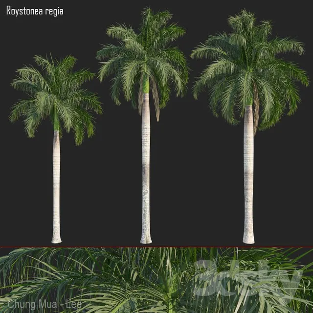 PLANTS – TREE – 3D MODELS – 3DS MAX – FREE DOWNLOAD – 17252