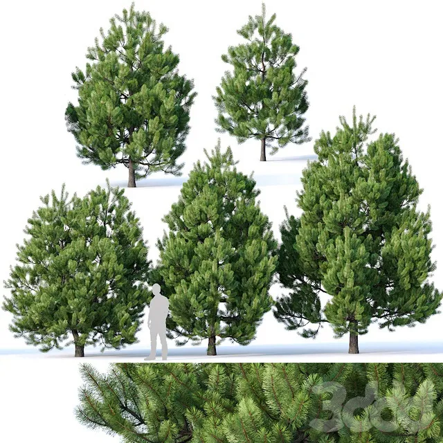 PLANTS – TREE – 3D MODELS – 3DS MAX – FREE DOWNLOAD – 17281