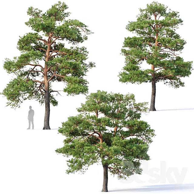 PLANTS – TREE – 3D MODELS – 3DS MAX – FREE DOWNLOAD – 17298