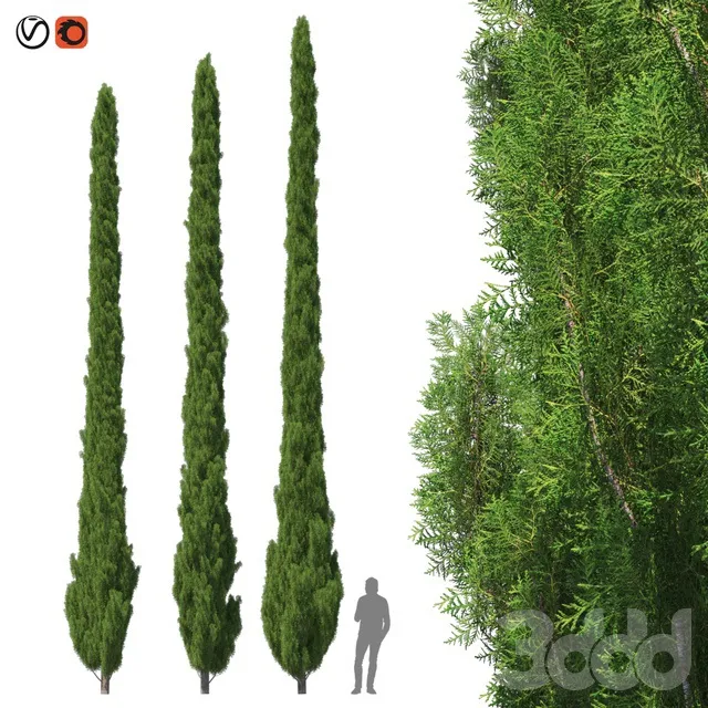 PLANTS – TREE – 3D MODELS – 3DS MAX – FREE DOWNLOAD – 17312