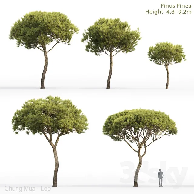 PLANTS – TREE – 3D MODELS – 3DS MAX – FREE DOWNLOAD – 17313