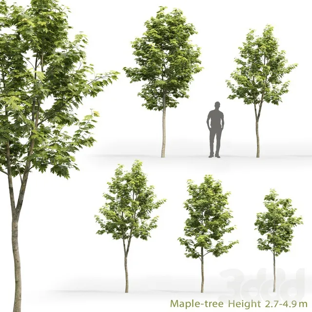 PLANTS – TREE – 3D MODELS – 3DS MAX – FREE DOWNLOAD – 17317