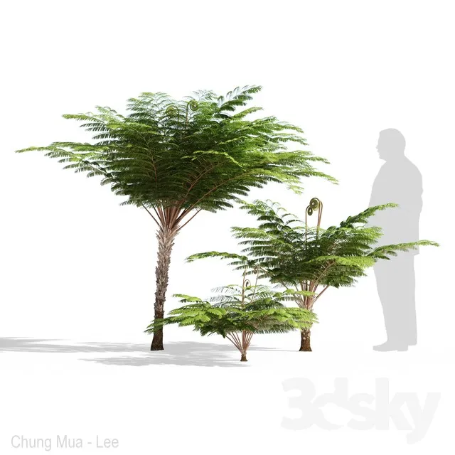 PLANTS – TREE – 3D MODELS – 3DS MAX – FREE DOWNLOAD – 17327