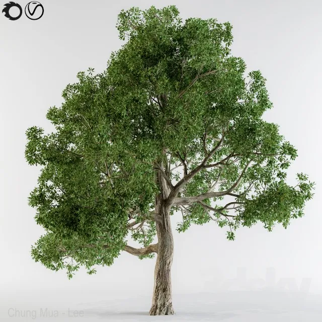 PLANTS – TREE – 3D MODELS – 3DS MAX – FREE DOWNLOAD – 17334