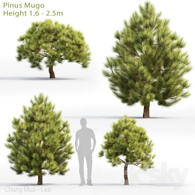 PLANTS – TREE – 3D MODELS – 3DS MAX – FREE DOWNLOAD – 17336