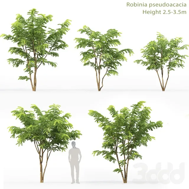 PLANTS – TREE – 3D MODELS – 3DS MAX – FREE DOWNLOAD – 17337