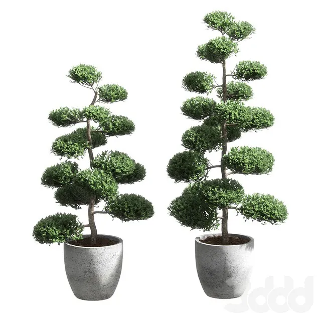 PLANTS – TREE – 3D MODELS – 3DS MAX – FREE DOWNLOAD – 17341