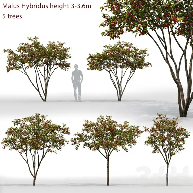 PLANTS – TREE – 3D MODELS – 3DS MAX – FREE DOWNLOAD – 17355