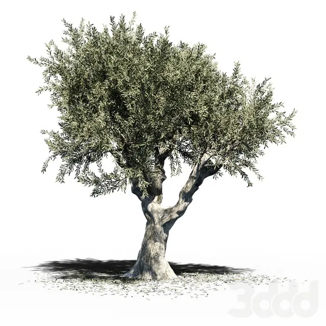 PLANTS – TREE – 3D MODELS – 3DS MAX – FREE DOWNLOAD – 17365