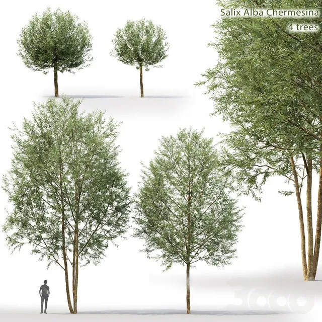 PLANTS – TREE – 3D MODELS – 3DS MAX – FREE DOWNLOAD – 17368