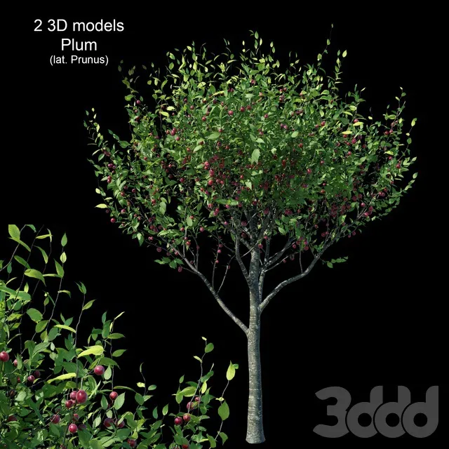 PLANTS – TREE – 3D MODELS – 3DS MAX – FREE DOWNLOAD – 17378