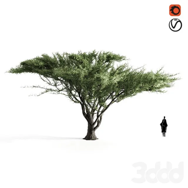 PLANTS – TREE – 3D MODELS – 3DS MAX – FREE DOWNLOAD – 17381