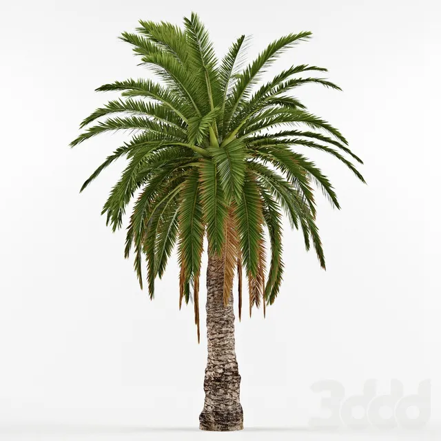 PLANTS – TREE – 3D MODELS – 3DS MAX – FREE DOWNLOAD – 17389