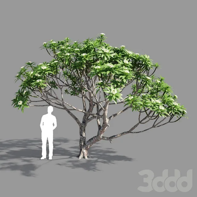 PLANTS – TREE – 3D MODELS – 3DS MAX – FREE DOWNLOAD – 17395