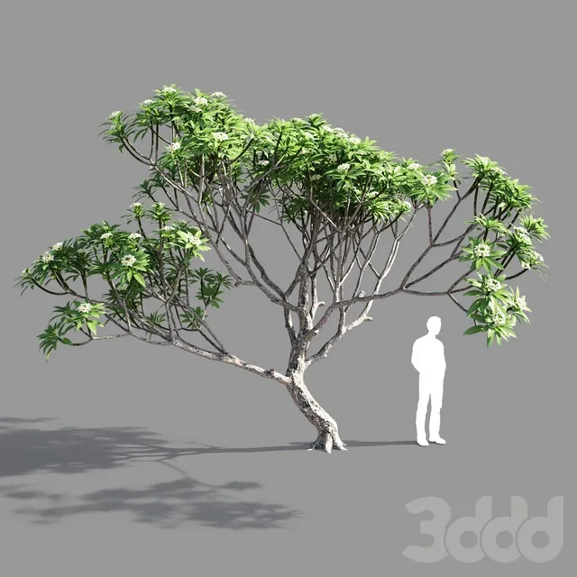 PLANTS – TREE – 3D MODELS – 3DS MAX – FREE DOWNLOAD – 17396