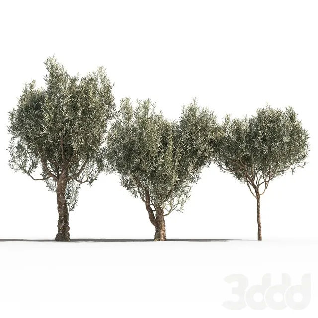 PLANTS – TREE – 3D MODELS – 3DS MAX – FREE DOWNLOAD – 17406