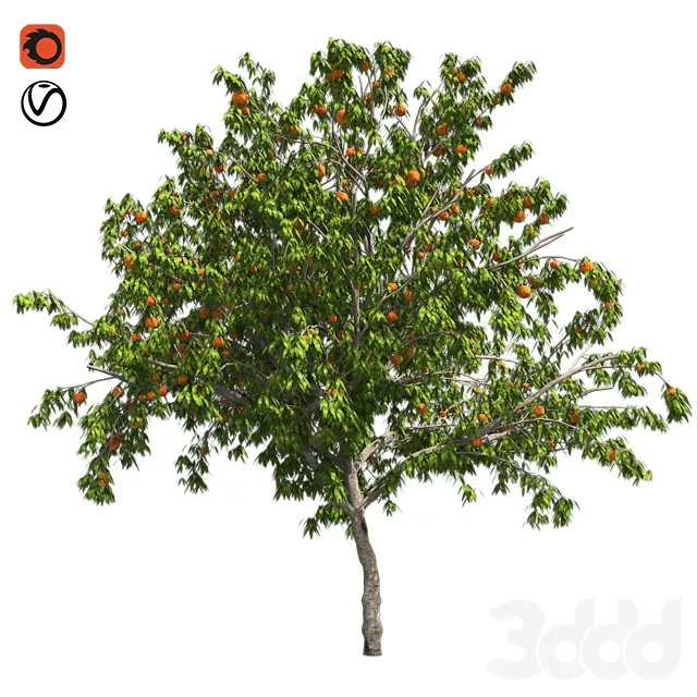 PLANTS – TREE – 3D MODELS – 3DS MAX – FREE DOWNLOAD – 17411
