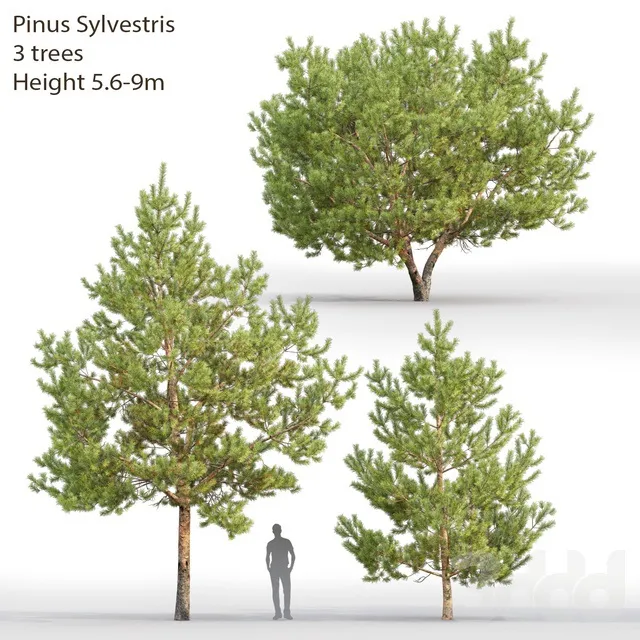 PLANTS – TREE – 3D MODELS – 3DS MAX – FREE DOWNLOAD – 17418