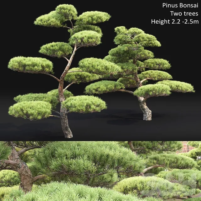 PLANTS – TREE – 3D MODELS – 3DS MAX – FREE DOWNLOAD – 17422