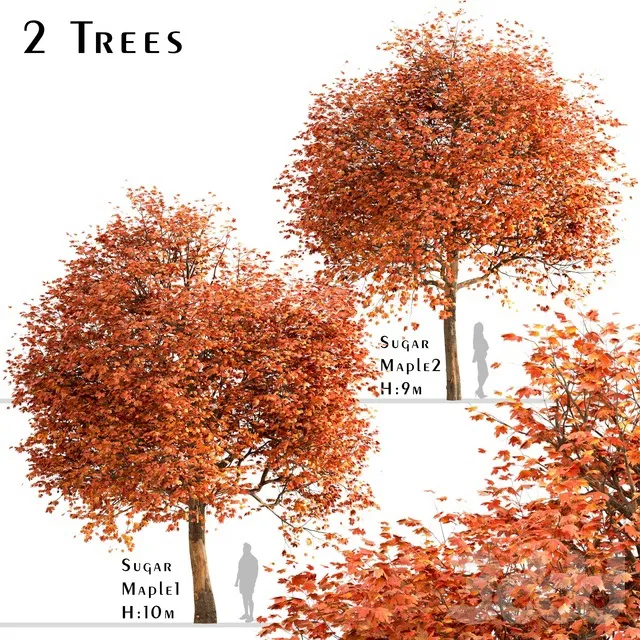 PLANTS – TREE – 3D MODELS – 3DS MAX – FREE DOWNLOAD – 17436