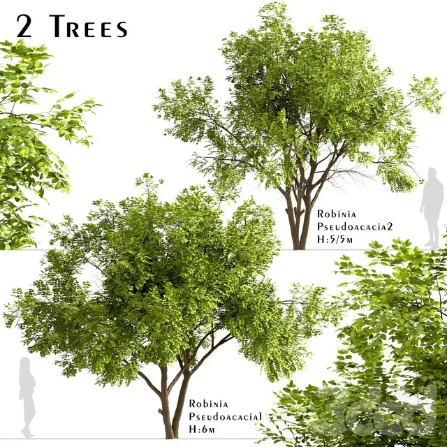 PLANTS – TREE – 3D MODELS – 3DS MAX – FREE DOWNLOAD – 17438