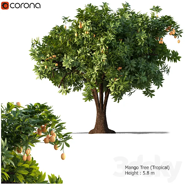 PLANTS – TREE – 3D MODELS – 3DS MAX – FREE DOWNLOAD – 17448