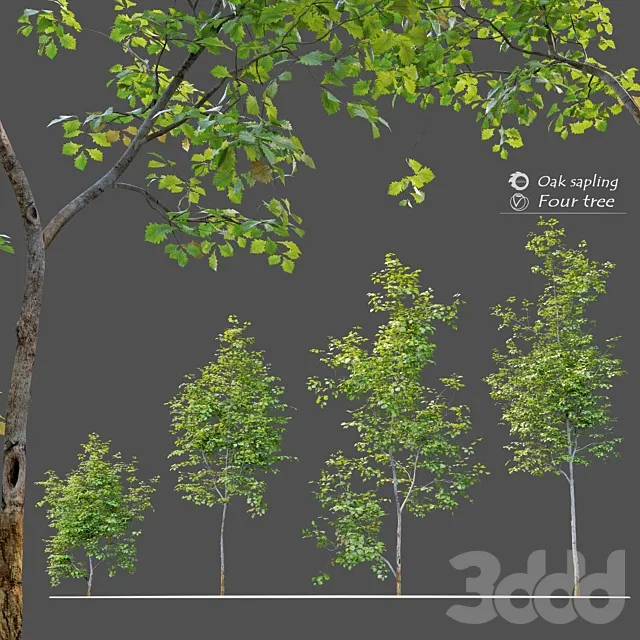 PLANTS – TREE – 3D MODELS – 3DS MAX – FREE DOWNLOAD – 17453