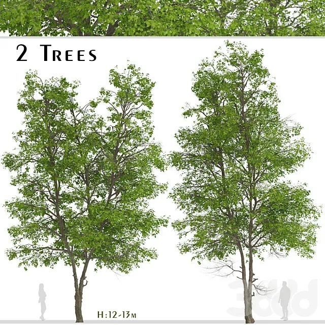 PLANTS – TREE – 3D MODELS – 3DS MAX – FREE DOWNLOAD – 17461