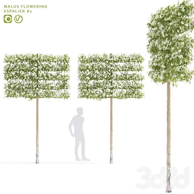 PLANTS – TREE – 3D MODELS – 3DS MAX – FREE DOWNLOAD – 17462