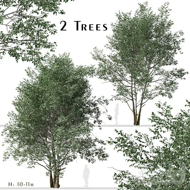 PLANTS – TREE – 3D MODELS – 3DS MAX – FREE DOWNLOAD – 17465