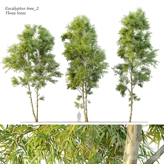 PLANTS – TREE – 3D MODELS – 3DS MAX – FREE DOWNLOAD – 17468