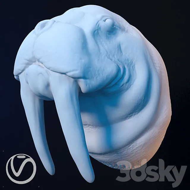 Plaster head of a walrus 3ds Max