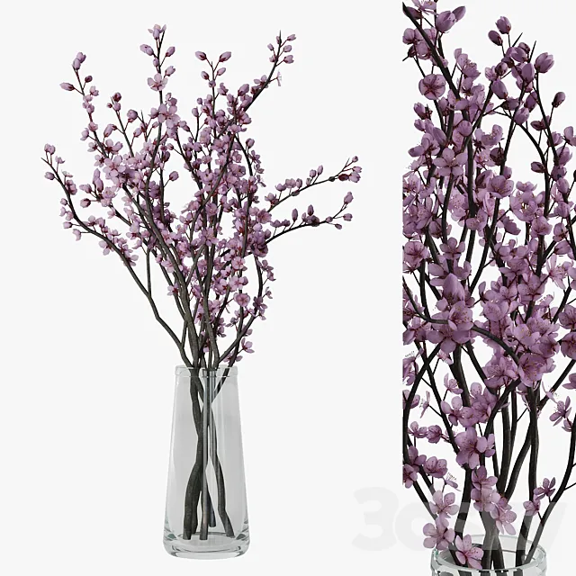 Plum blossom 3ds Max