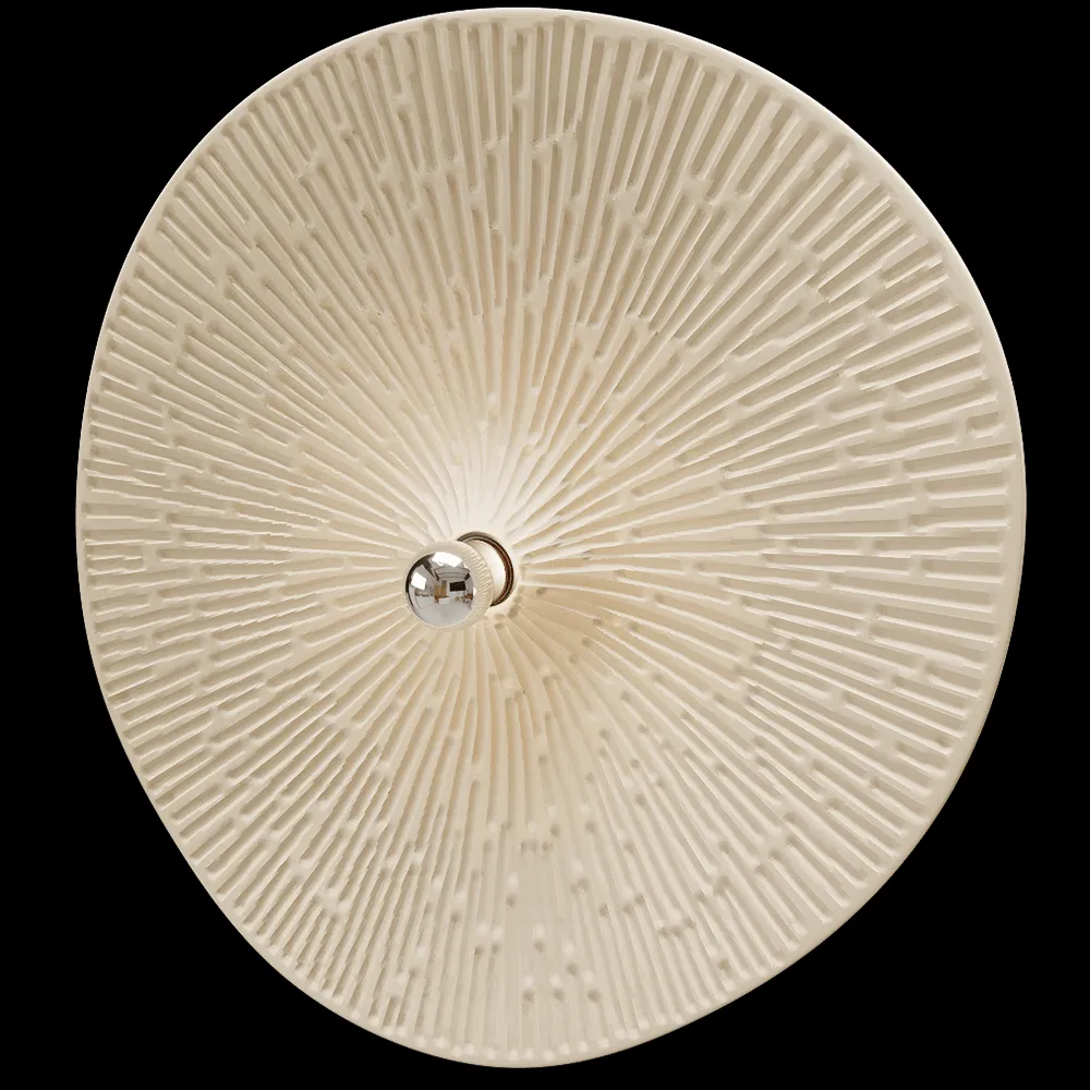 Polina Artamonova Design – Wall lamp FLAMMULINA XXL 3ds Max